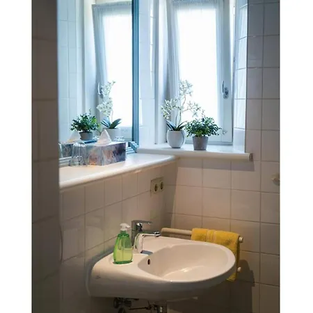 Appartement Grosses Am Kurpark In Mit Balkon Bad Birnbach
